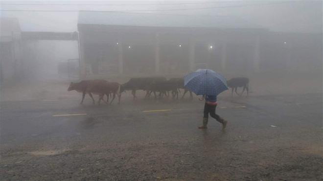 Ngày 2/11, không khí lạnh ảnh hưởng tới Bắc Bộ, Bắc Trung Bộ ảnh 1