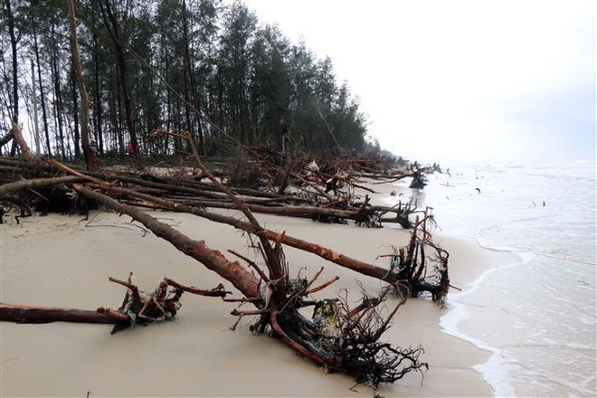 Thừa Thiên-Huế: Bờ biển sạt lở nghiêm trọng, lấn sâu vào khu dân cư ảnh 3
