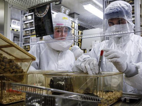 Nga quan ngại việc Mỹ đặt phòng thí nghiệm y sinh ở Gruzia ảnh 1