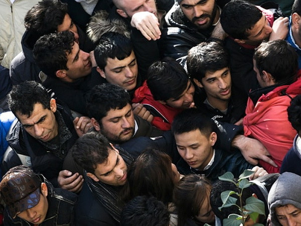 Dòng người xin tị nạn vào Đức giảm mạnh trong đầu năm nay ảnh 1