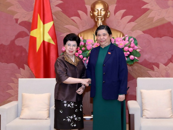 Phó Chủ tịch Quốc hội Tòng Thị Phóng tiếp Tổng Giám đốc WHO ảnh 1