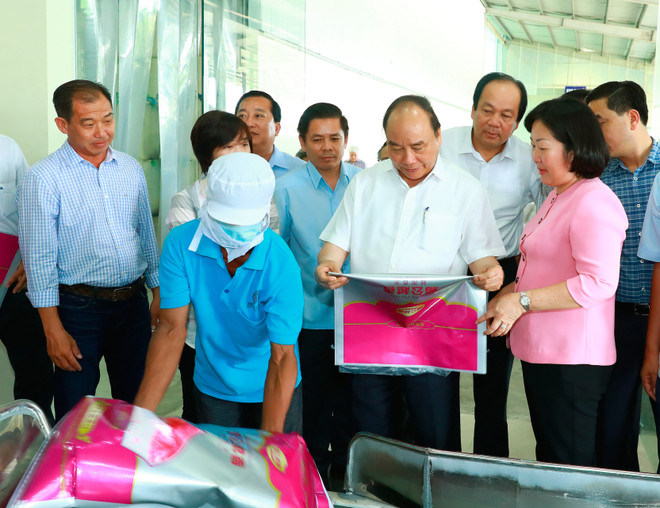 Sóc Trăng cần mở rộng lúa cao sản và các loại trái cây lợi thế ảnh 3