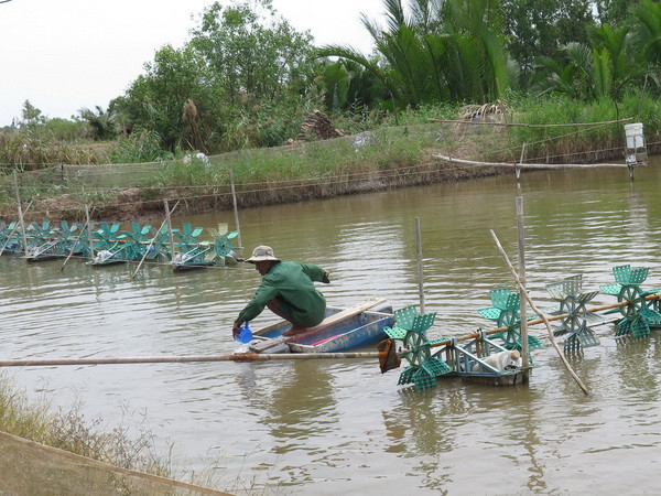 Thủ tướng: Trà Vinh cần đầu tư phát triển nuôi tôm thâm canh ảnh 2