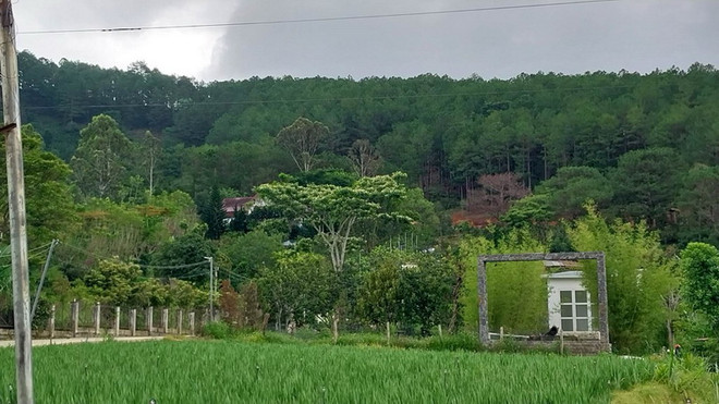 Lâm Đồng: Cưỡng chế 7 công trình trái phép ngay cửa ngõ Đà Lạt ảnh 1