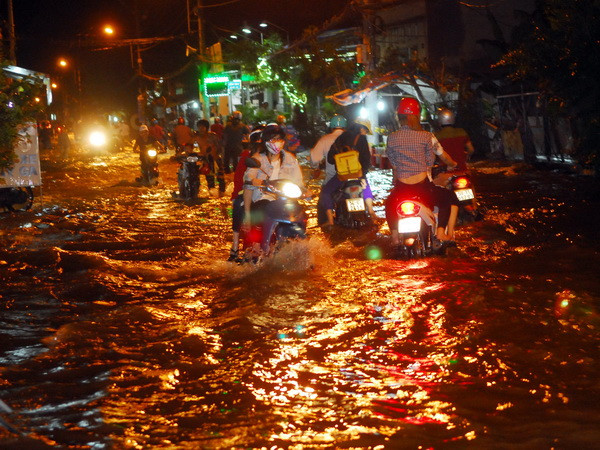 Thành phố Hồ Chí Minh xây hồ điều tiết để giảm ngập do mưa ảnh 1