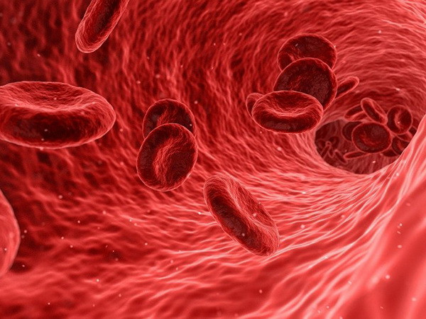 Phát minh thành công robot siêu nhỏ có thể bơi trong mạch máu ảnh 1