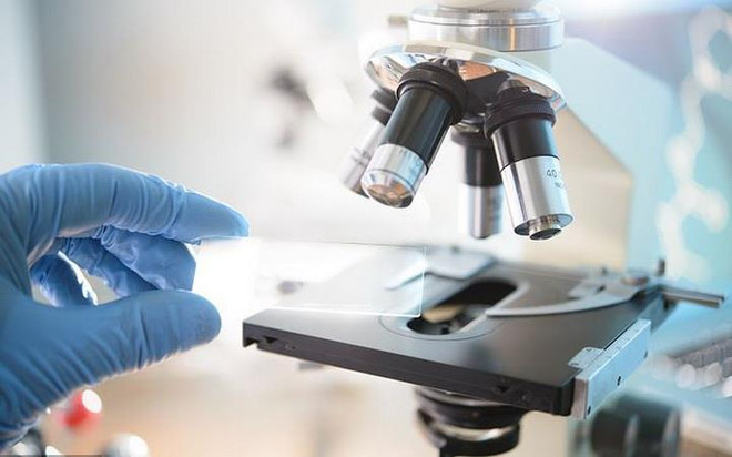 Phát hiện chất ức chế protein có thể giúp điều trị ung thư gan ảnh 1