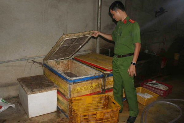 Bắt cơ sở dùng chất tẩy trắng để chế biến hàng trăm kg nội tạng bò ảnh 1