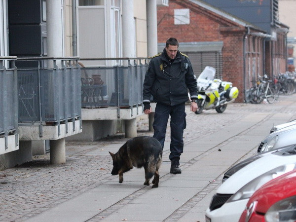 Đức và Ủy ban châu Âu lên án hành động khủng bố ở Đan Mạch ảnh 1