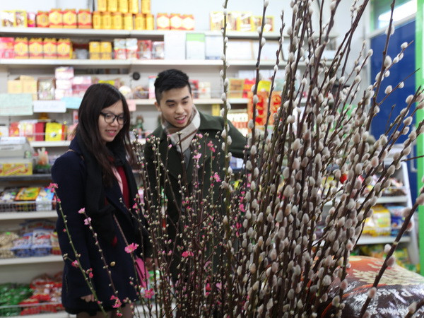 Du học sinh Việt Nam đi sắm Tết tại siêu thị Bảo Long. (Ảnh: Đỗ sinh/Vietnam+) Người Việt tại London vui sắm Tết Nguyên đán Ất Mùi 2015 ảnh 1