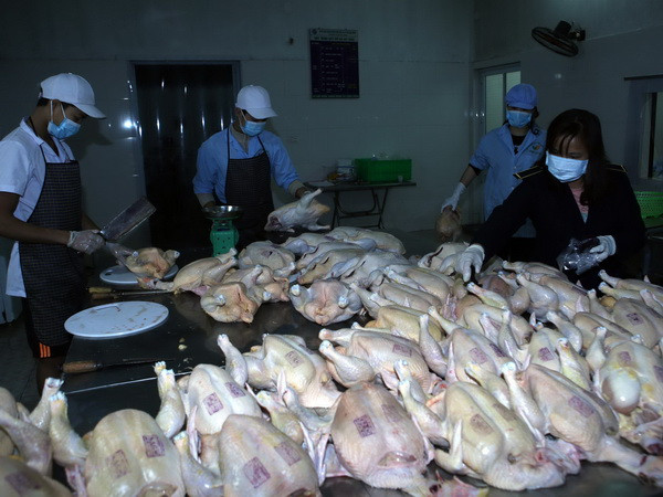 Tăng cường bảo đảm an toàn thực phẩm Tết Nguyên đán Đinh Dậu ảnh 1