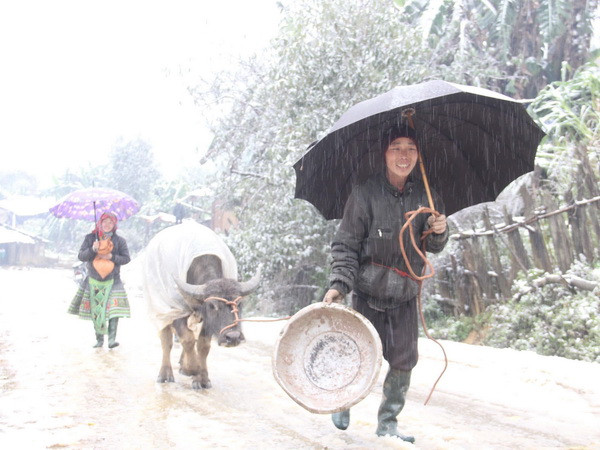 Tây Bắc bộ mưa về đêm và sáng, nhiệt thấp nhất 16 độ C ảnh 1