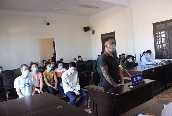 Sáu đối tượng hủy hoại rừng thông ở Đắk Nông bị tuyên 48 năm tù ảnh 1