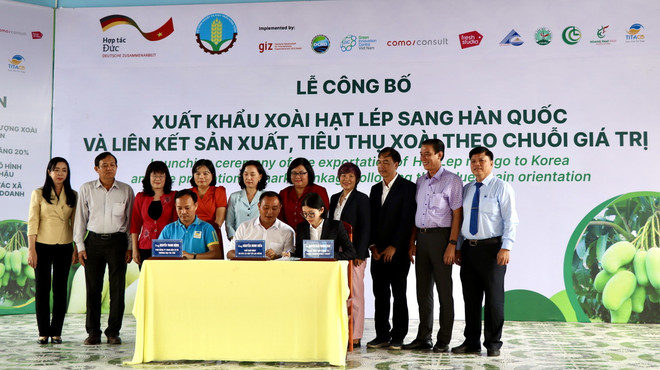 ttxvn_1902_xuat khau xoai (2).jpeg