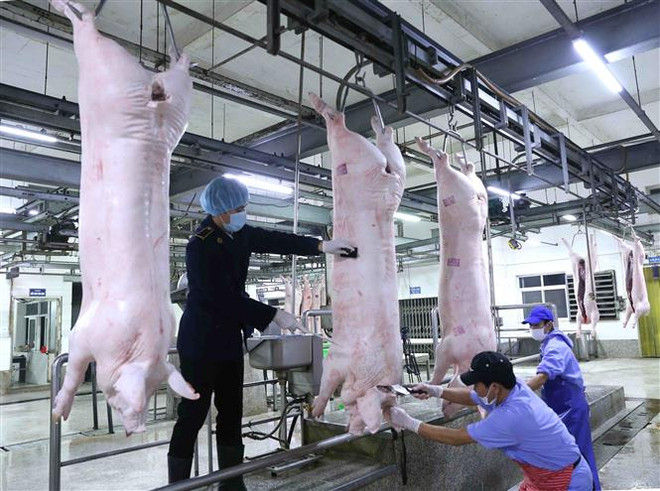 Đẩy mạnh nhập khẩu để kiểm soát giá thịt lợn trên thị trường ảnh 1