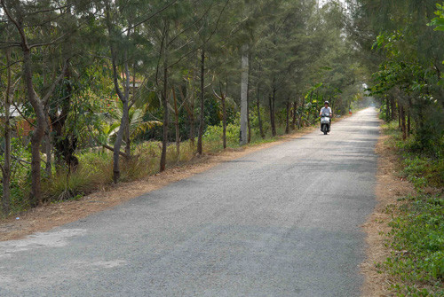 Chợ Đệm - Cái nôi của Cách mạng tháng Tám ở Nam Bộ ảnh 1