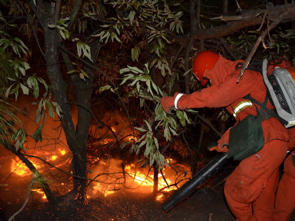 Cháy rừng từ Indonesia gây ô nhiễm không khí ở Singapore ảnh 1