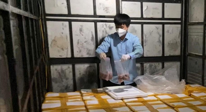 Thanh Hóa: Phát hiện xe tải vận chuyển gần 2 tấn cá khoai ướp phoócmôn ảnh 1