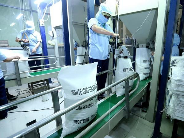 Đóng bao sản phẩm gạo xuất khẩu. (Ảnh: Vũ Sinh/TTXVN) Tận dụng cơ hội xuất khẩu nông sản chính ngạch vào Trung Quốc ảnh 1