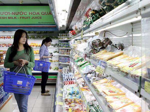 Nhiều nhận định tích cực về nền kinh tế Việt Nam ảnh 1