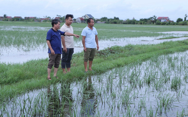 ttxvn_ngap ung Nam Dinh.jpg