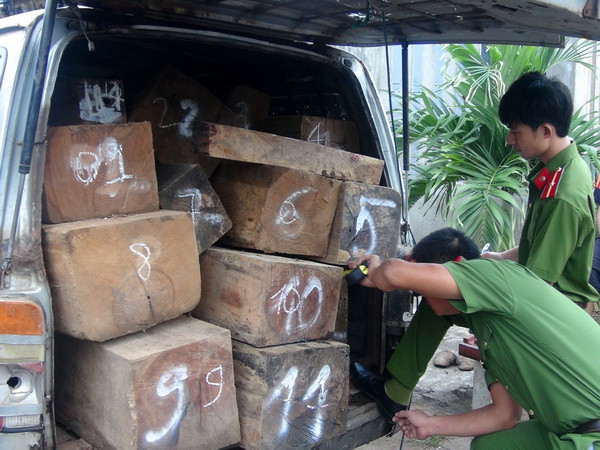 Quảng Nam: Phát hiện xe chở gỗ quý trái phép ở khu vực biên giới ảnh 1