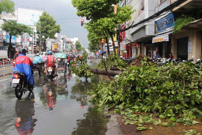 10 ngày tới, Bắc Bộ mưa dông tập trung vào chiều tối, đêm và sáng sớm ảnh 2
