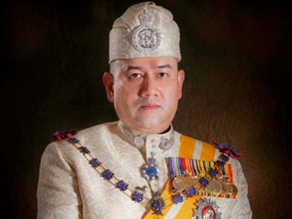 Hội đồng trị vì các bang tại Malaysia bầu chọn Nhà vua mới ảnh 1