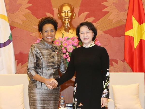 Việt Nam có vai trò tích cực và xây dựng trong cộng đồng Pháp ngữ ảnh 1