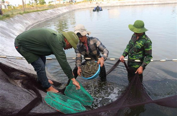 Dấu ấn của tăng trưởng ngành nông nghiệp trong năm 2018 ảnh 2