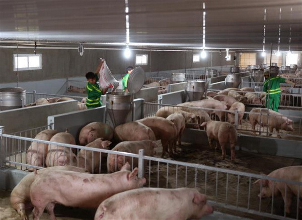 Dấu ấn của tăng trưởng ngành nông nghiệp trong năm 2018 ảnh 3