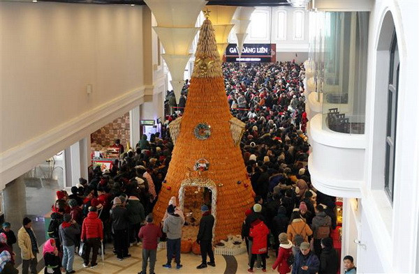 Hàng vạn du khách đổ về Sa Pa đón Năm mới trong mưa rét ảnh 2