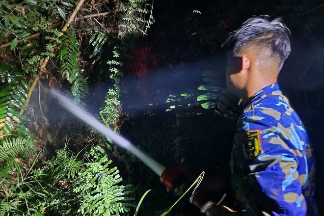 ttxvn_2303_chua chay (2).jpg