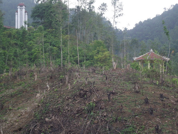 Kỷ luật cán bộ để xảy ra phá rừng ở di tích quốc gia Khuôn Mánh ảnh 1