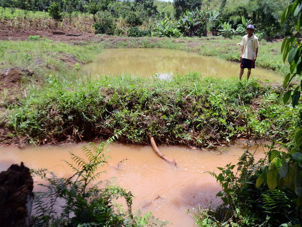 Chưa thể khẳng định cá chết là do tràn hóa chất Nhà máy Alumin Nhân Cơ ảnh 1