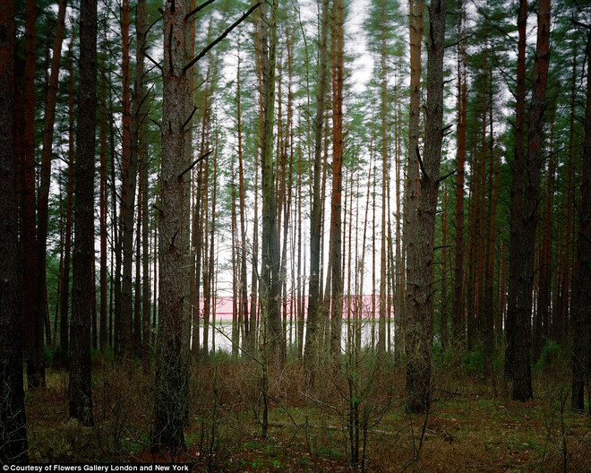 Hé lộ hình ảnh hiếm có về các "nhà tù đen" bí mật của Mỹ ảnh 4