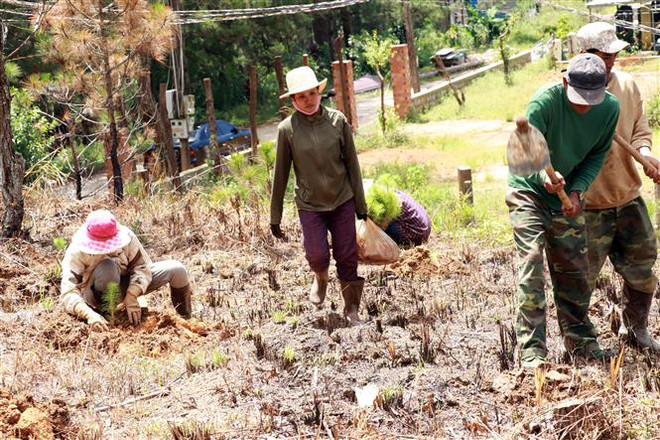 Lấn, chiếm đất có thể sẽ bị xử phạt hành chính lên đến 1 tỷ đồng ảnh 1
