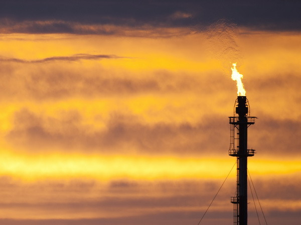 Saudi Arabia đã cảm nhận được "nỗi đau" do giá dầu giảm ảnh 1