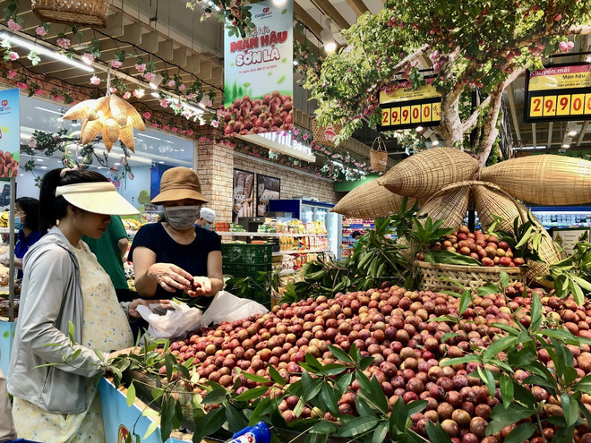 Mận hậu tỉnh Sơn La bày bán tại Saigon Co.op TP Hồ Chí Minh. (Ảnh: Mỹ Phương/TTXVN) ttxvn_man_hau_va_nong_san_tinh_son_la_tai_thanh_pho_ho_chi_minh.jpg