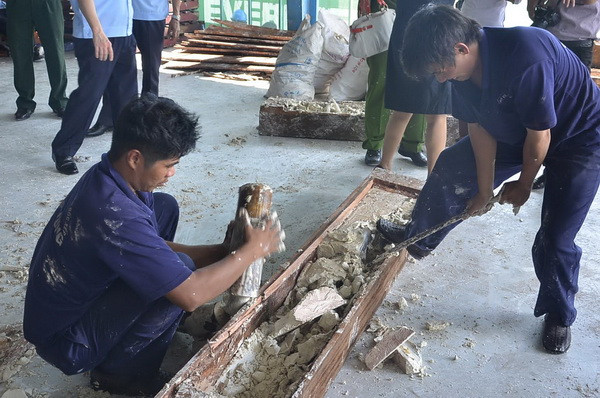 Thành phố Hồ Chí Minh bắt lô hàng gần 1 tấn ngà voi giấu trong gỗ ảnh 2