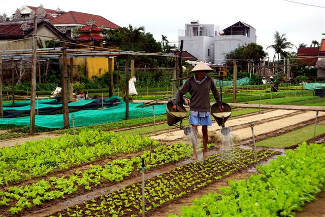 Làng nghề truyền thống gìn giữ hồn Tết cổ truyền dân tộc ảnh 3