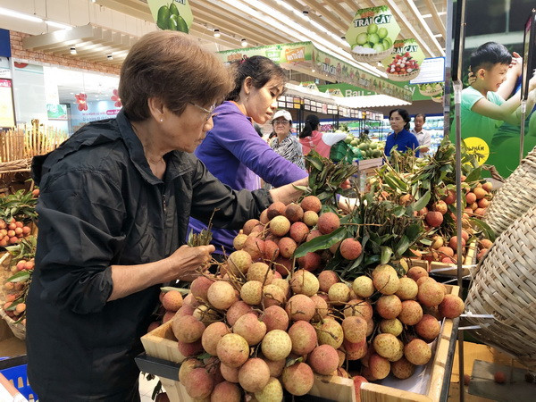 Saigon Co.op cam kết bao tiêu trái vải thiều tươi Lục Ngạn và Thanh Hà ảnh 1