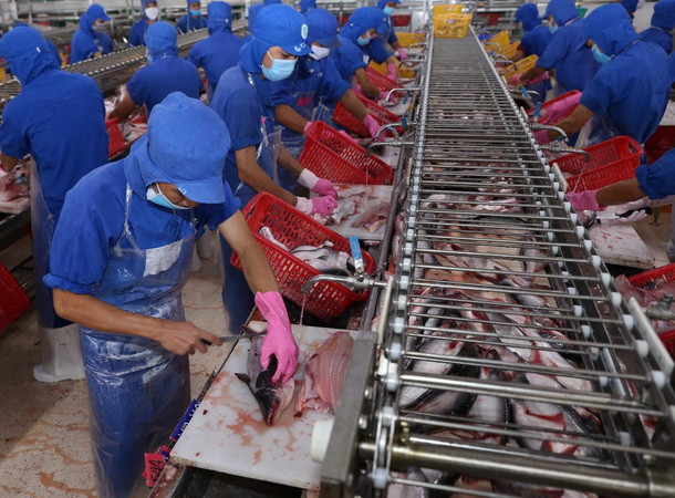 Làm gì để nâng cao giá trị nông sản Việt Nam sau thu hoạch ảnh 2