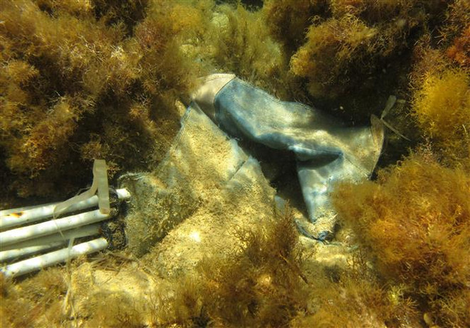 Ước tính hơn 14 triệu tấn nhựa đang nằm dưới đáy các đại dương ảnh 2