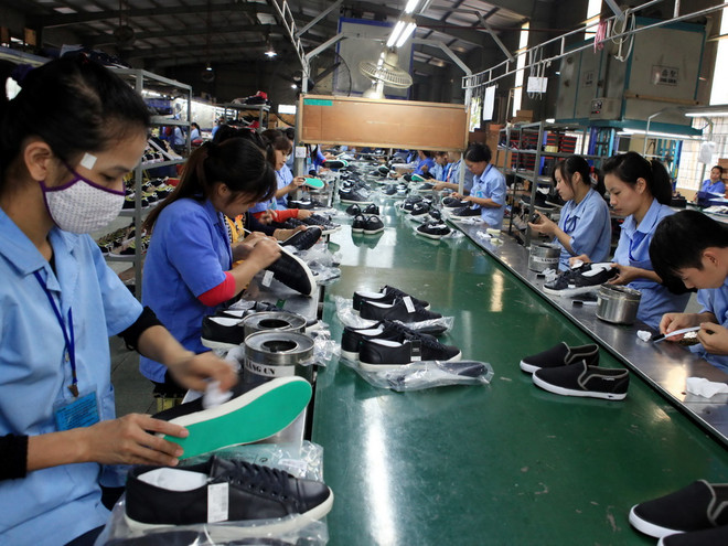 Quan hệ thương mại Việt Nam-Nam Phi tiếp tục phát triển vững chắc ảnh 1