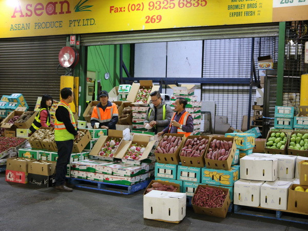 Sôi động "Ngày thanh long Việt Nam" tại Xứ sở Chuột túi ảnh 1