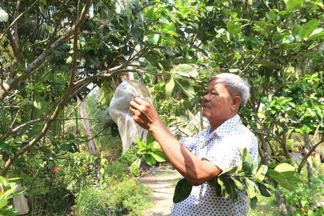 Tấm gương phản chiếu mối quan hệ giữa Đảng với nhân dân ảnh 2