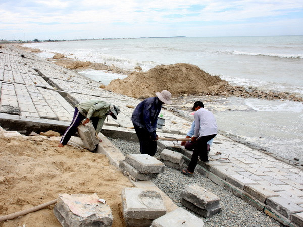 Xây dựng và thực hiện đồng bộ kế hoạch ứng phó biến đổi khí hậu ảnh 1