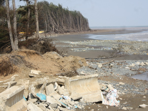 Tăng cường năng lực để chủ động ứng phó với biến đổi khí hậu ảnh 1