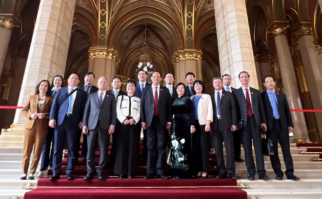 ttxvn_0304_tran quang phuong hungary (4).jpg